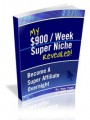 My 900 A Week Niche MRR Ebook