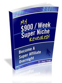 My 900 A Week Niche MRR Ebook