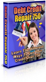 Debt Credit Repair 750 PLR Ebook