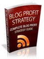 Blog Profit Strategy Personal Use Ebook 
