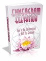 Enneagram Elevation Mrr Ebook