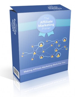 Affiliate Marketing Primer Give Away Rights Ebook