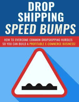 Dropshipping Speed Bumps PLR Ebook