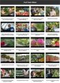 Fruit Trees Instant Mobile Video Site MRR Software