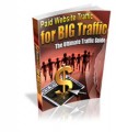 Paid Website Traffic For Big Traffic Resale Rights Ebook 
