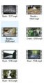 Rivers Streams 4k Uhd Stock Videos Pt 1 MRR Video