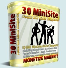 30 Hot Niche Templates MRR Template