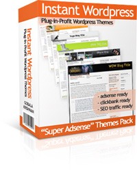 Instant WordPress Themes MRR Template