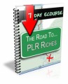 7 Day Ecourse : The Road To Plr Riches Personal Use ...