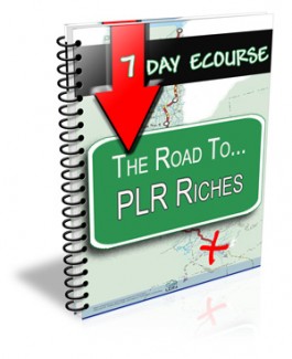7 Day Ecourse : The Road To Plr Riches Personal Use Autoresponder Messages