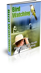 Bird Watching Plr Ebook