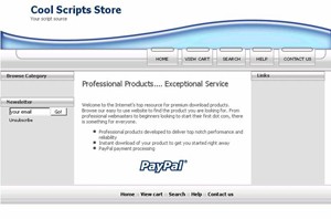 Scripts Store Cyan Personal Use Template