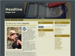 50 Wordpress Themes Plr Template