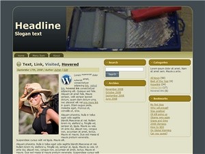 50 WordPress Themes Plr Template