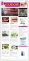 Cold Sore Niche Blog PLR Template 