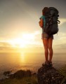 Discount Travel Software PLR Software 
