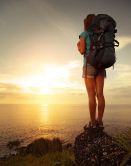 Discount Travel Software PLR Software