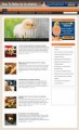 How To Make An Incubator Blog Personal Use Template ...