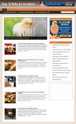 How To Make An Incubator Blog Personal Use Template With Video