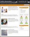 Traffic Niche Blog PLR Template 