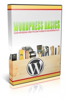 WordPress Basics For 2014 Resale Rights Video