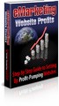 Emarketing Website Profits PLR Ebook
