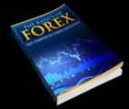 The Basics Of Forex Plr Ebook