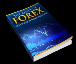 The Basics Of Forex Plr Ebook