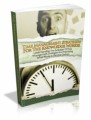 Time Management Strategies For The Knowledge Worker Mrr ...