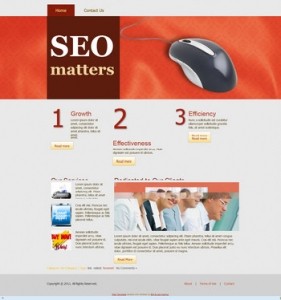 SEO WordPress Theme Plr Template