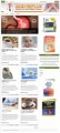Acid Reflux Plr Niche Blog PLR Template 
