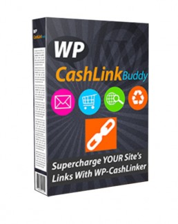 Cash Link Buddy Personal Use Software