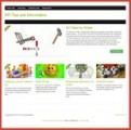 Diy Niche Blog PLR Template 