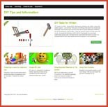 Diy Niche Blog PLR Template