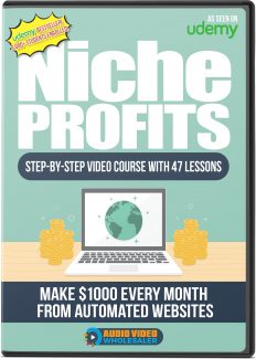 Niche Profits MRR Video With Audio