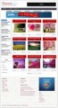 Pixense Pro Wordpress Theme Personal Use Template 