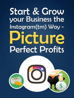 Start And Grow Your Business PLR Ebook