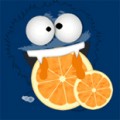 Wp Solo Juicer Personal Use Software 