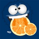 Wp Solo Juicer Personal Use Software