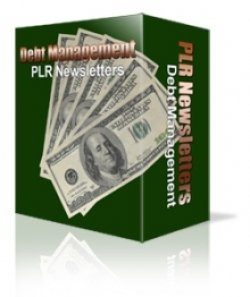 Debt Management Niche Newsletters Personal Use Article