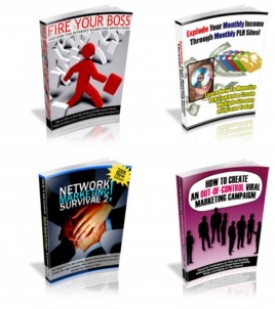 Special Offer Plr PLR Ebook