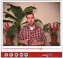 Video Marketers Toolkit Mrr Video