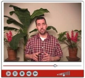 Video Marketers Toolkit Mrr Video
