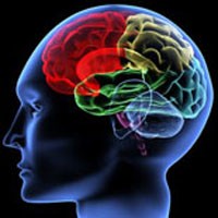 Brain Programming Audios Package Personal Use Audio