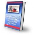 Budget Airline Travel MRR Ebook 