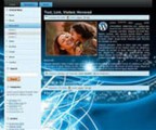 112 Wordpress Themes PLR Template