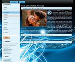 112 WordPress Themes PLR Template