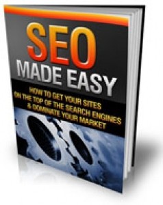 SEO Made Easy Mrr Ebook
