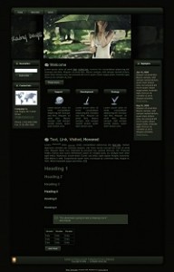 Summer Rain WordPress Theme Mrr Template