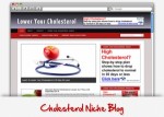 Cholesterol Niche Wordpress Theme Personal Use Template